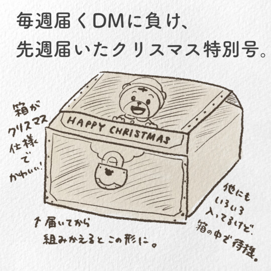 毎週届くDMに負け、先週届いたクリスマス号