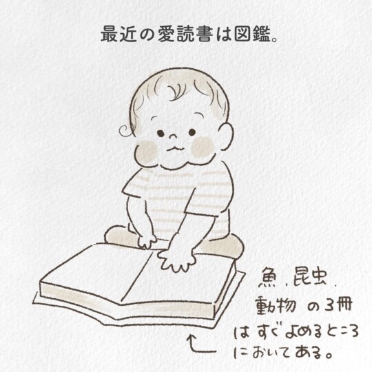 最近の愛読書は図鑑