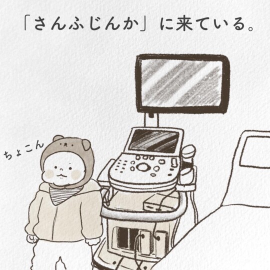 さんふじんかにきている