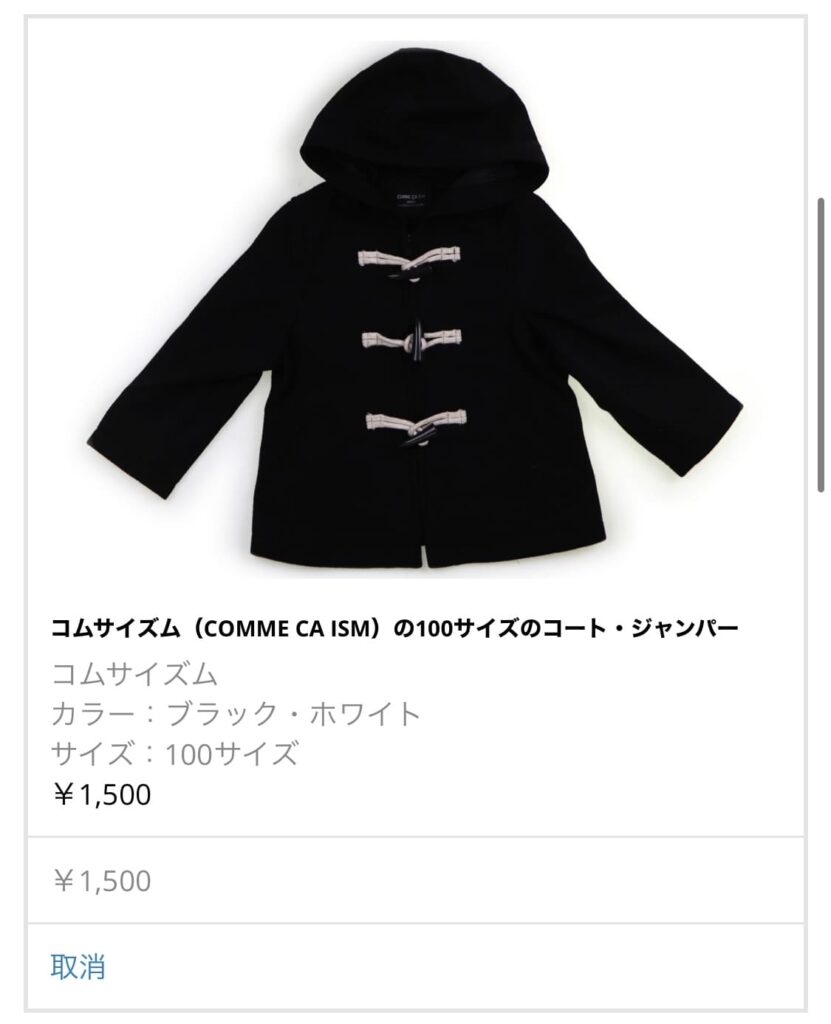 キャリーオン買った秋冬服正直にレビュー微妙なものと最高なもの