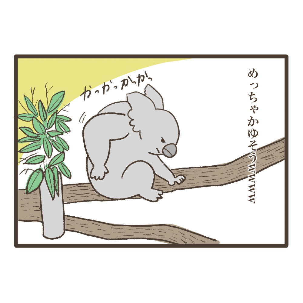 王子動物園のコアラ