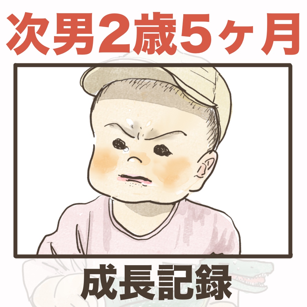 次男2歳5ヶ月の成長記録