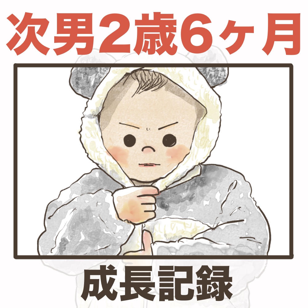 次男2歳6ヶ月成長記録