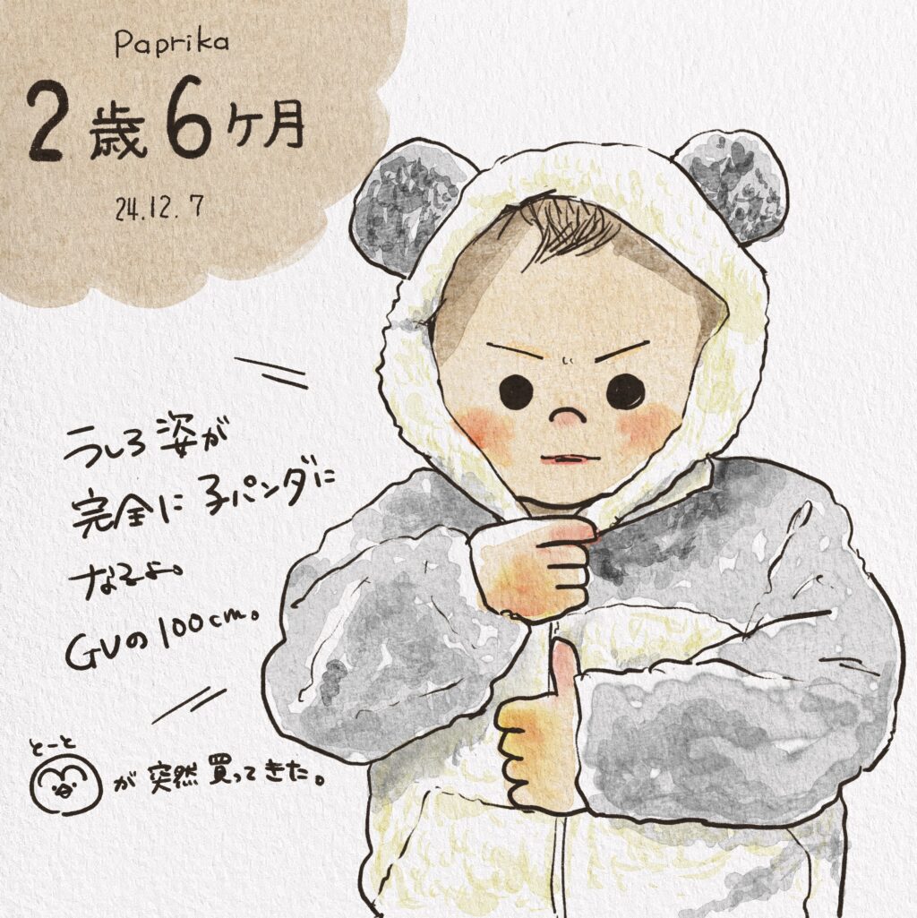 次男2歳6ヶ月成長記録