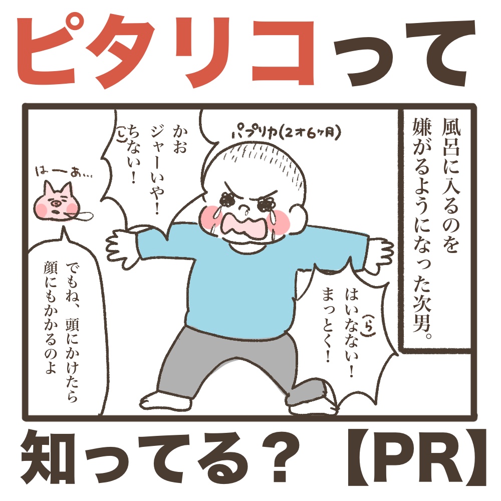 ピタリコって知ってる？