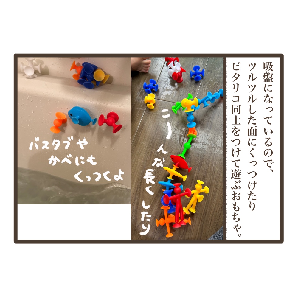 ピタリコって知ってる？