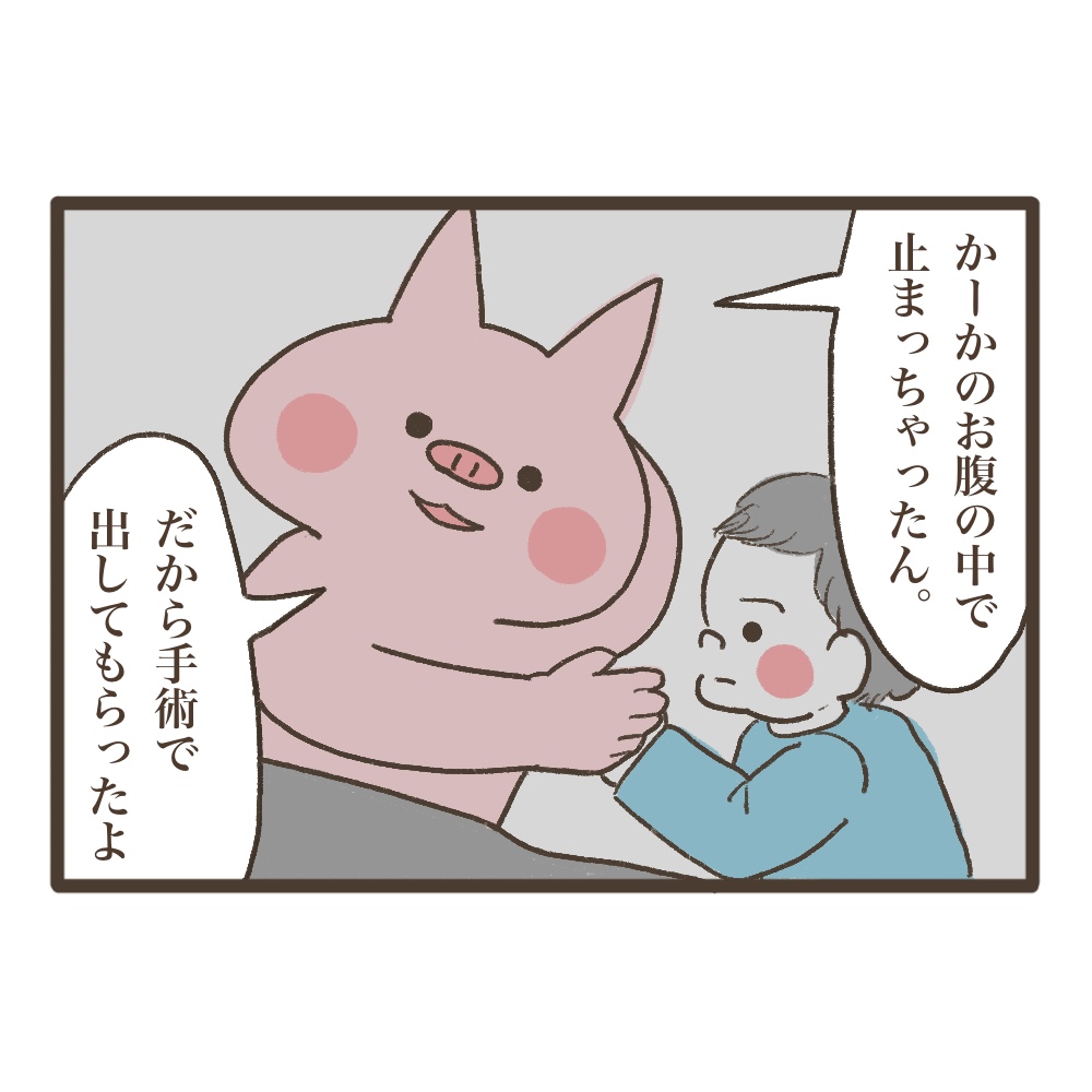 稽留流産の記憶を長男に話してみた