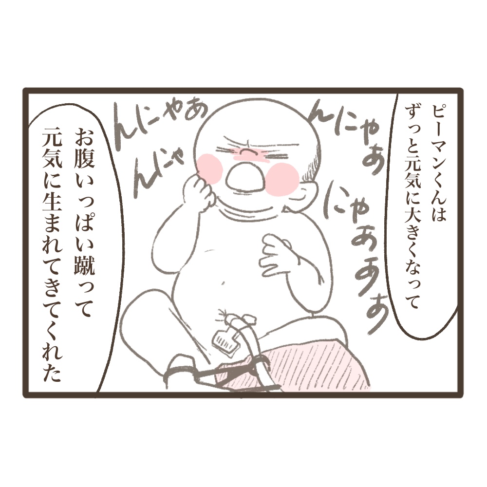 稽留流産の記憶を長男に話してみた