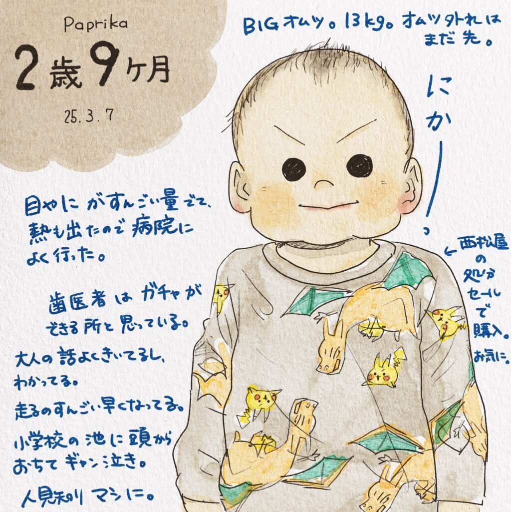 次男2歳9ヶ月の成長記録