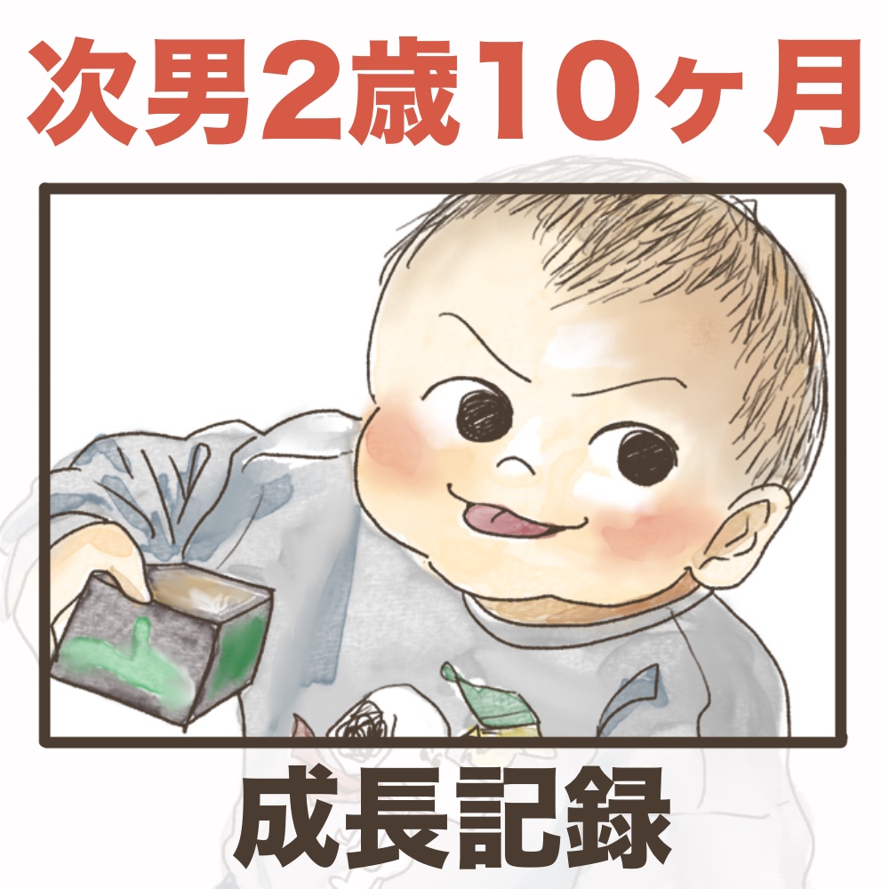 次男2歳10ヶ月成長記録