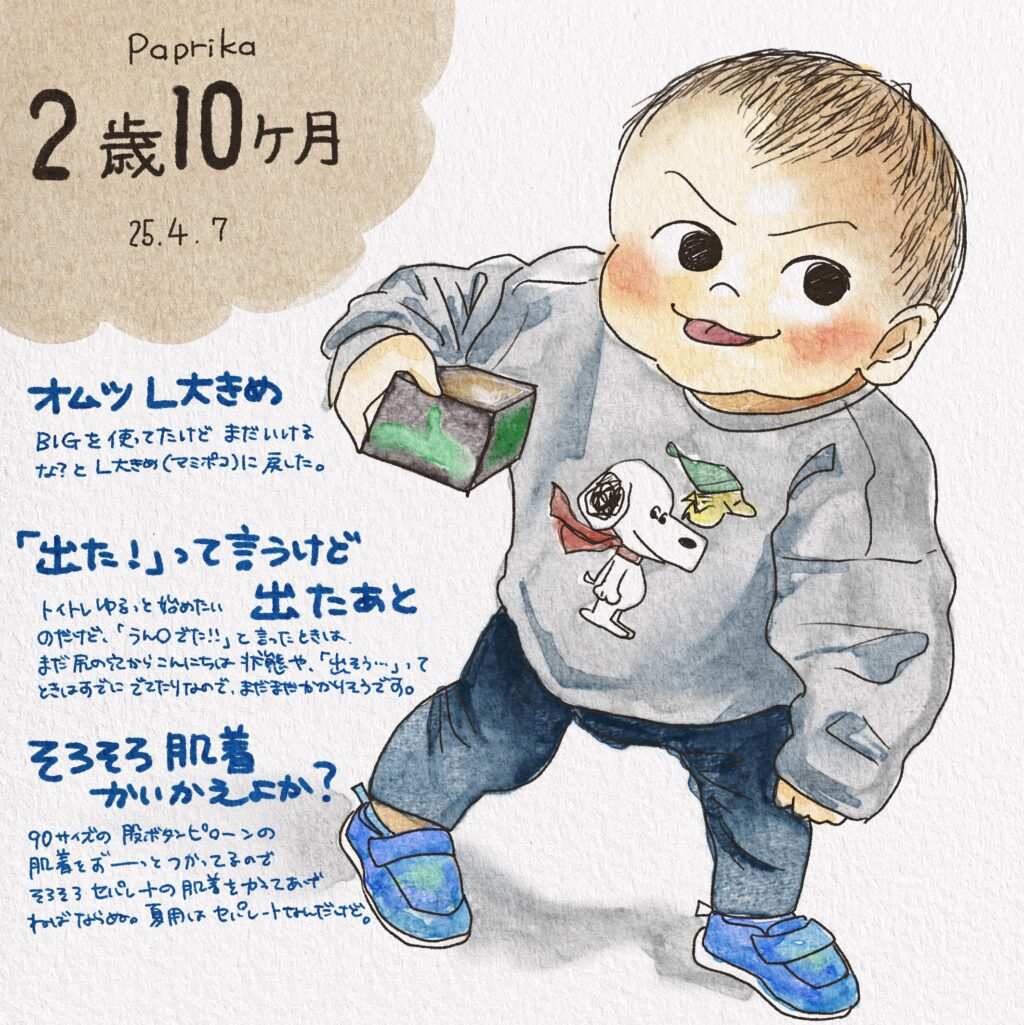 次男2歳10ヶ月成長記録