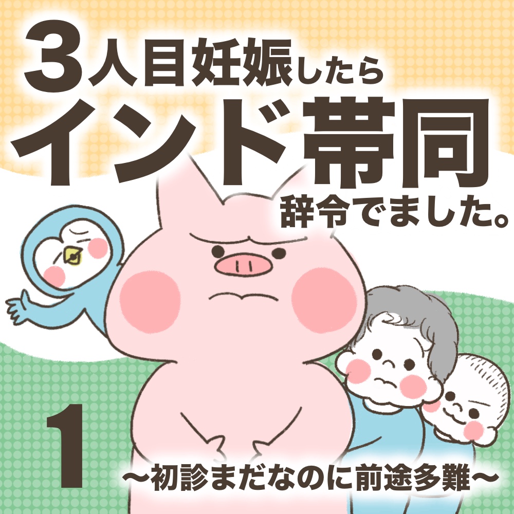 3人目妊娠インド帯同海外駐在初診