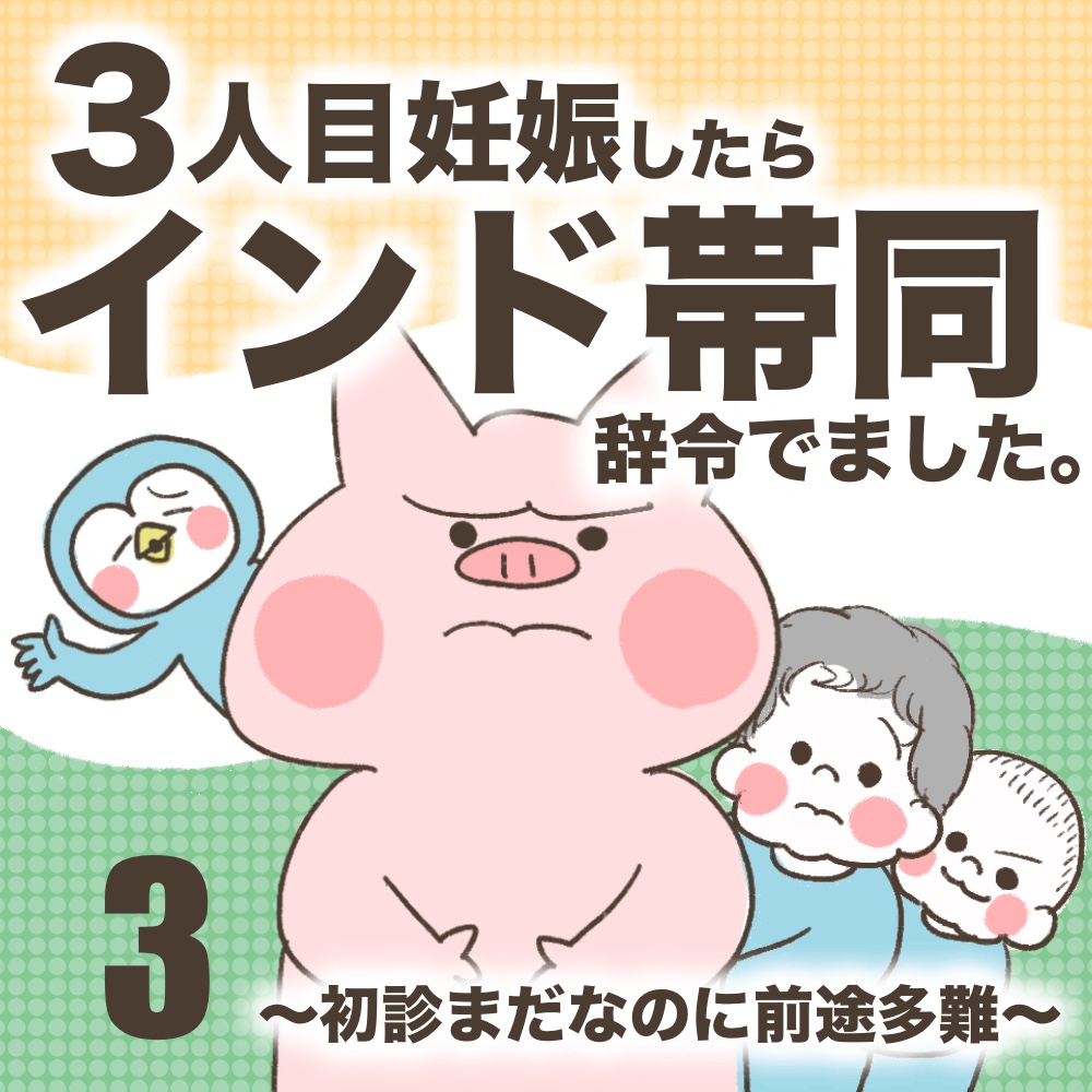 3人目妊娠インド帯同海外駐在初診