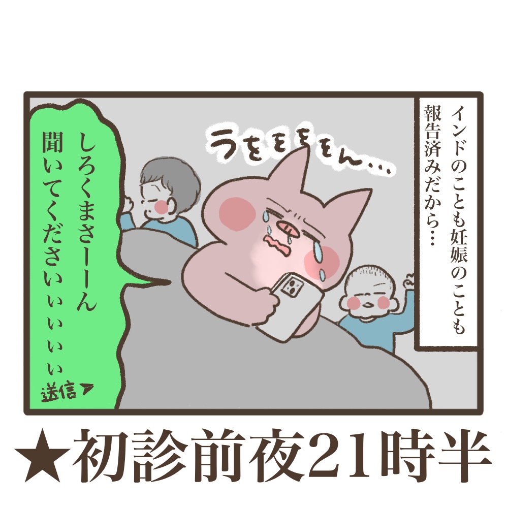 3人目妊娠インド帯同海外駐在初診