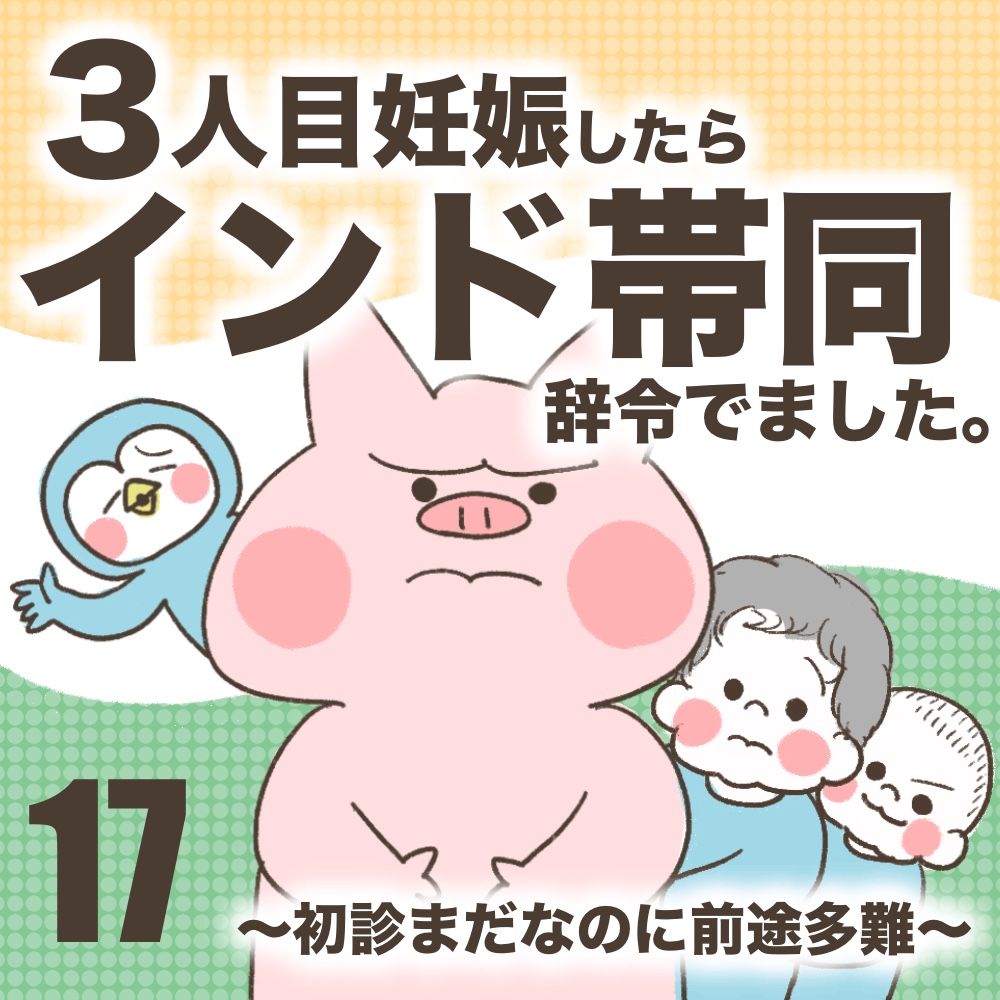 3人目妊娠インド帯同海外駐在初診