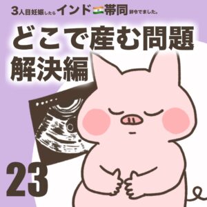 3人目妊娠インド帯同海外駐在どこで産む問題解決