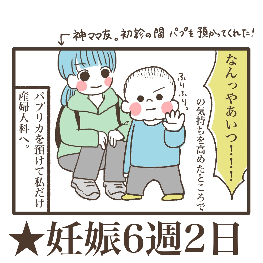 3人目妊娠インド帯同海外駐在どこで産む問題解決