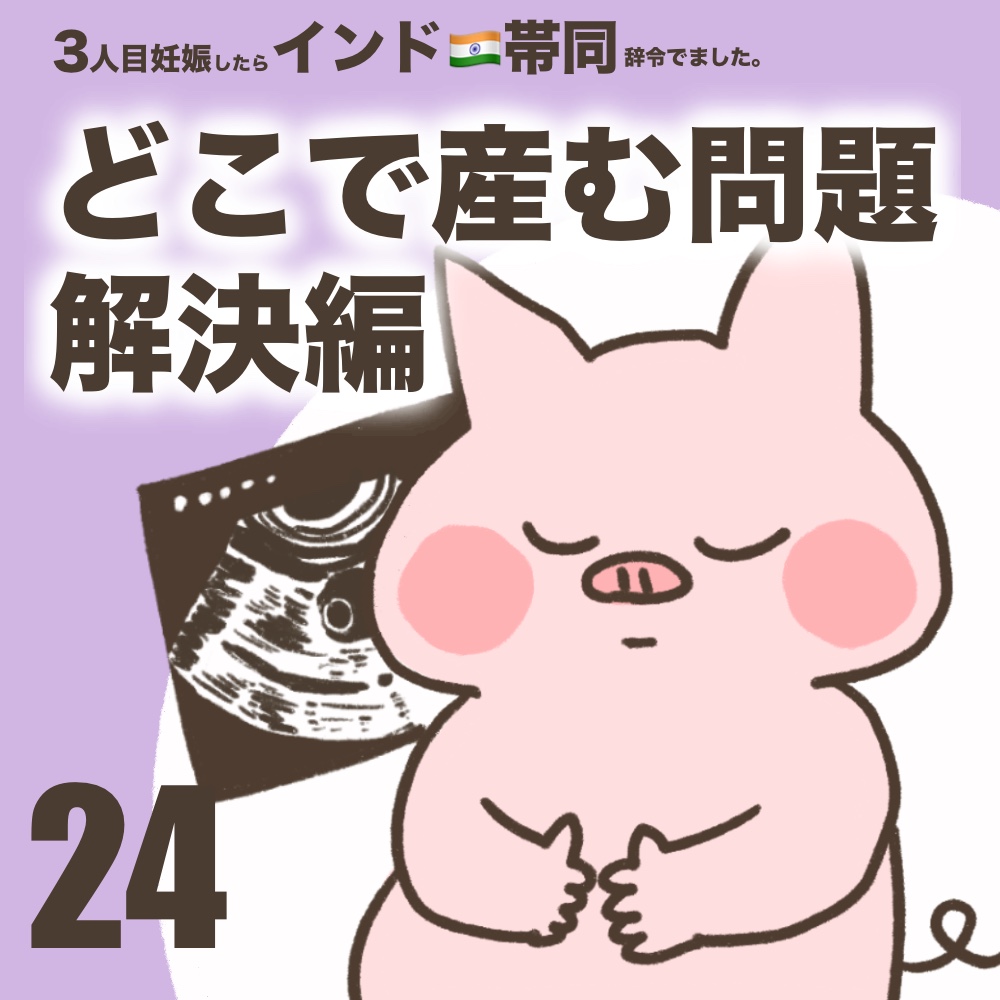 3人目妊娠インド帯同海外駐在どこで産む問題解決