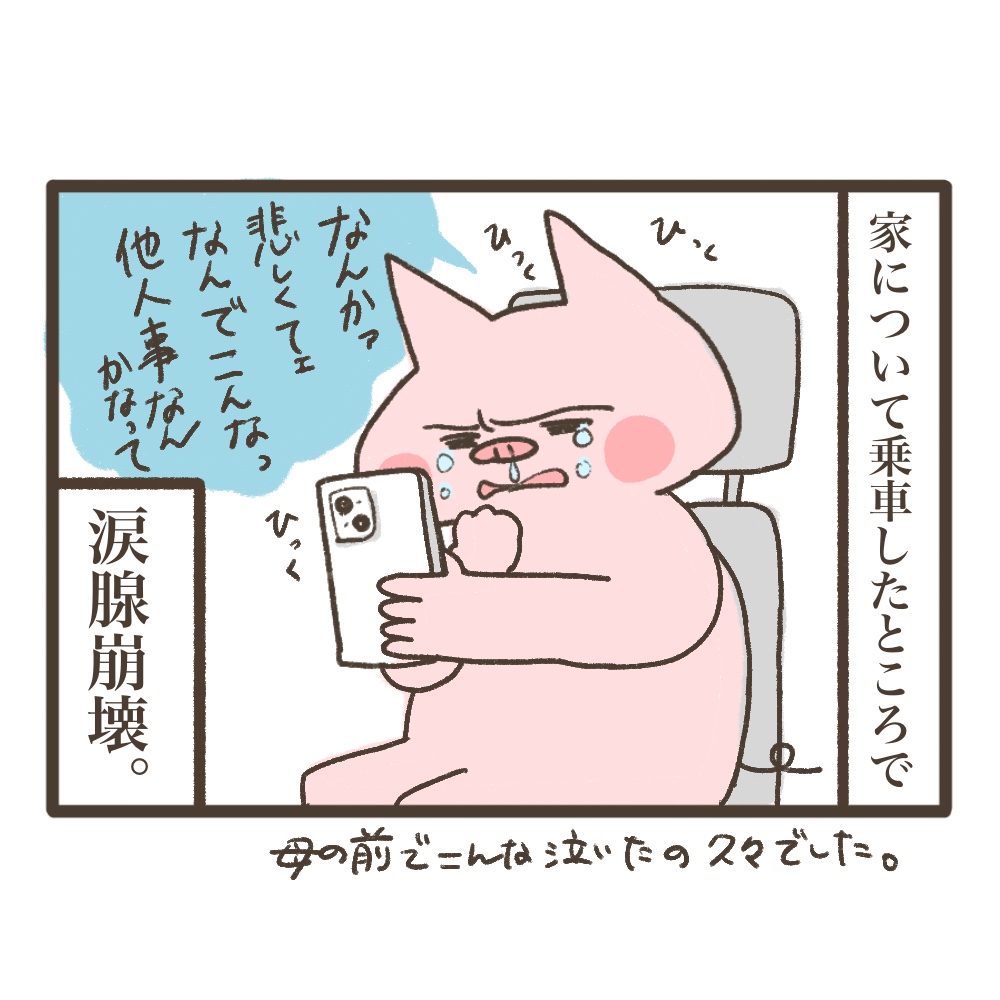 3人目妊娠インド帯同海外駐在どこで産む問題解決