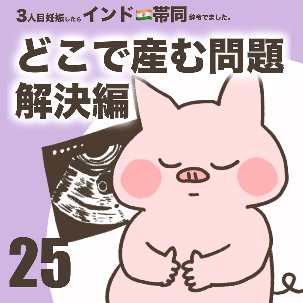 3人目妊娠インド帯同海外駐在どこで産む問題解決