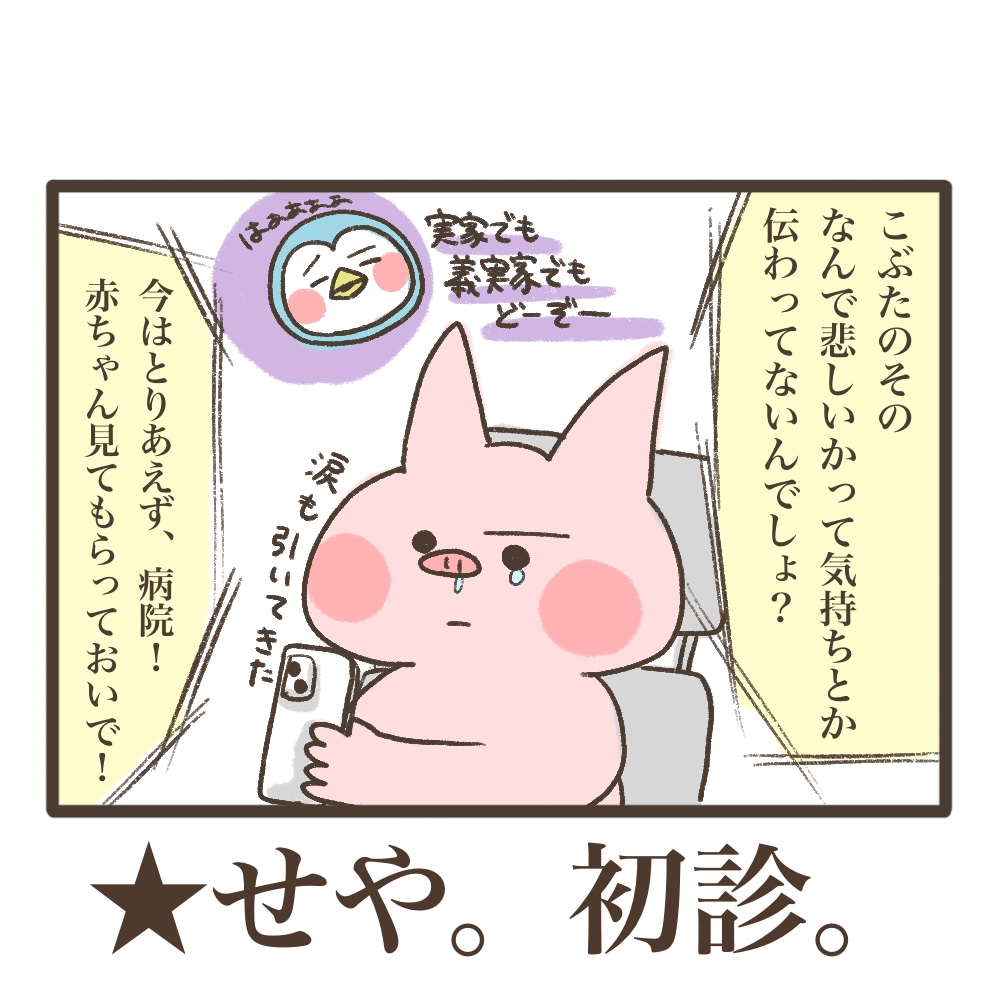 3人目妊娠インド帯同海外駐在どこで産む問題解決