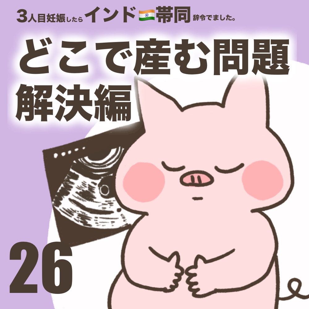3人目妊娠インド帯同海外駐在どこで産む問題解決