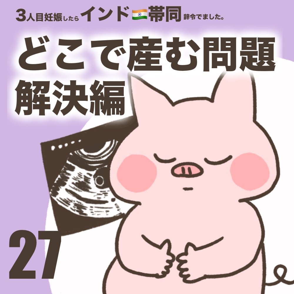 3人目妊娠インド帯同海外駐在どこで産む問題解決