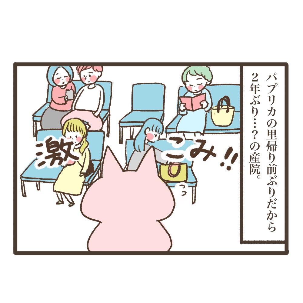 3人目妊娠インド帯同海外駐在どこで産む問題解決