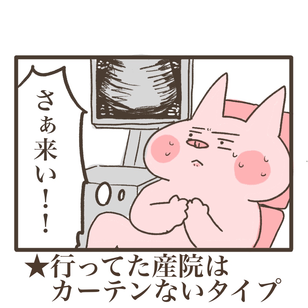 3人目妊娠インド帯同海外駐在どこで産む問題解決