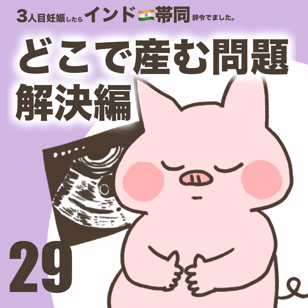 3人目妊娠インド帯同海外駐在どこで産む問題解決