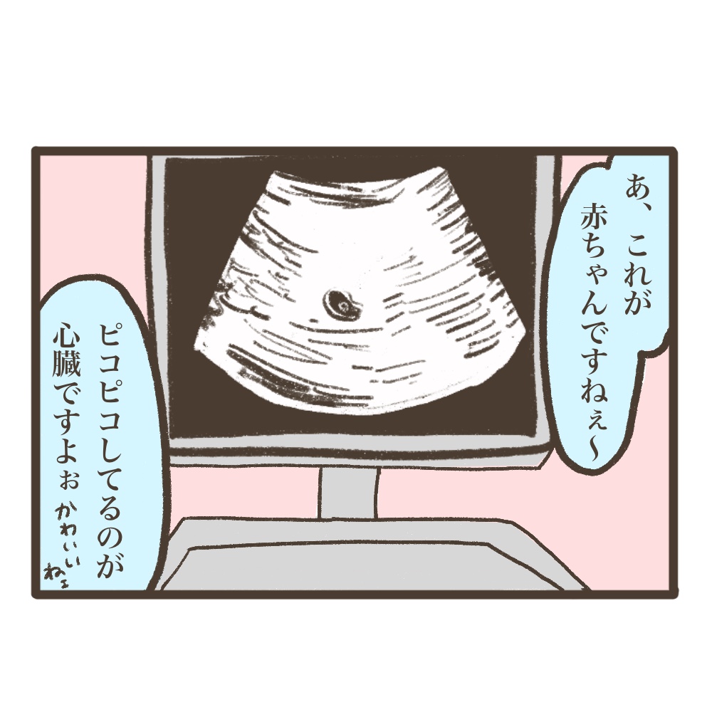 3人目妊娠インド帯同海外駐在どこで産む問題解決