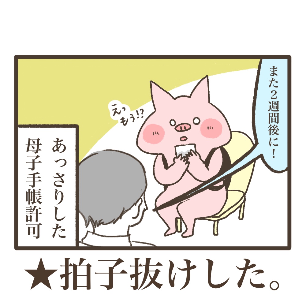 3人目妊娠インド帯同海外駐在どこで産む問題解決