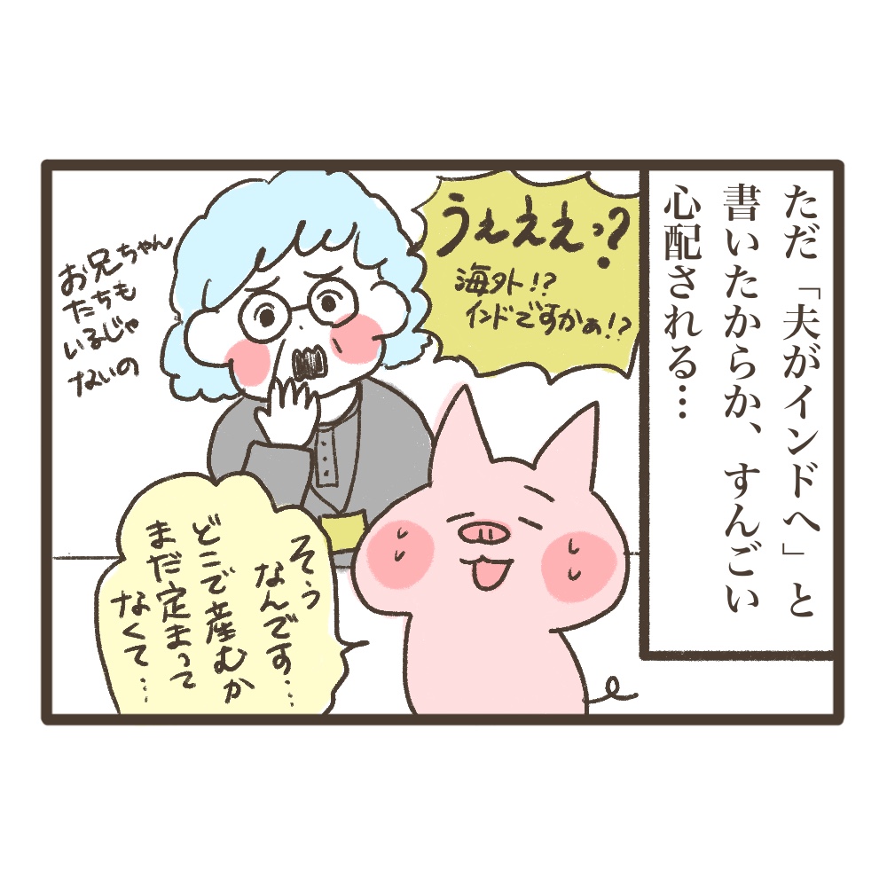 3人目妊娠インド帯同海外駐在どこで産む問題解決