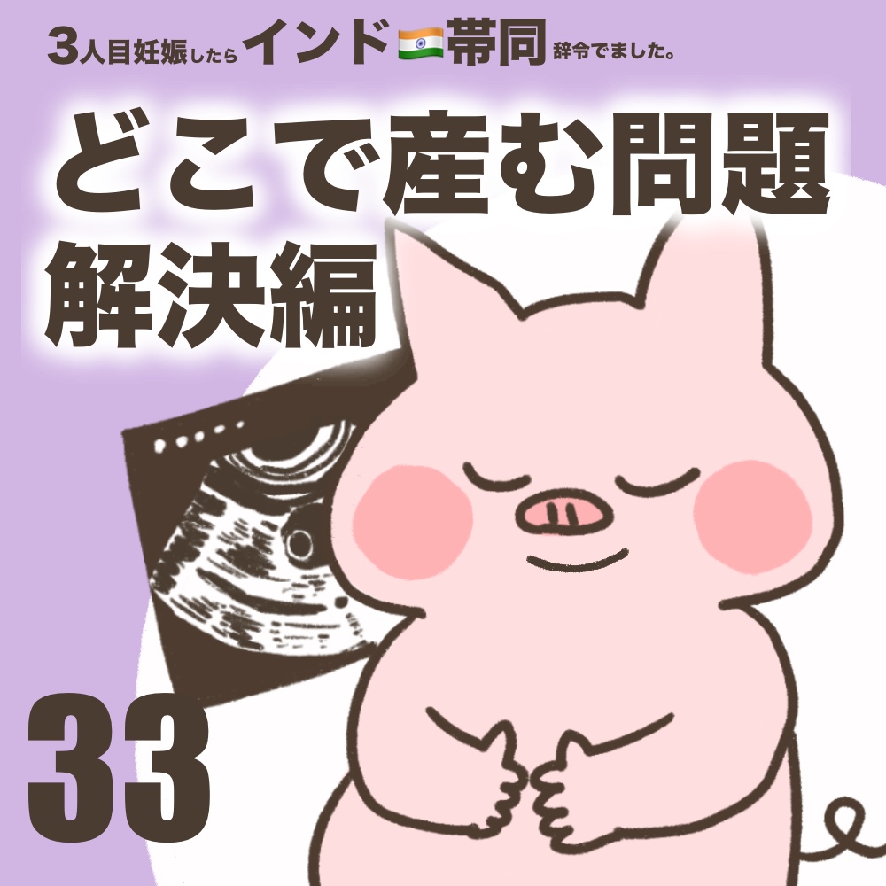3人目妊娠インド帯同海外駐在どこで産む問題解決