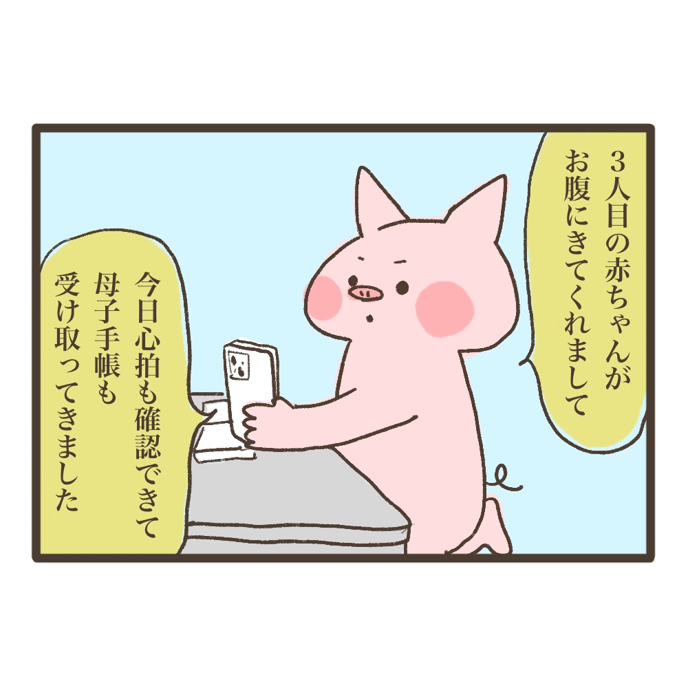 3人目妊娠インド帯同海外駐在どこで産む問題解決