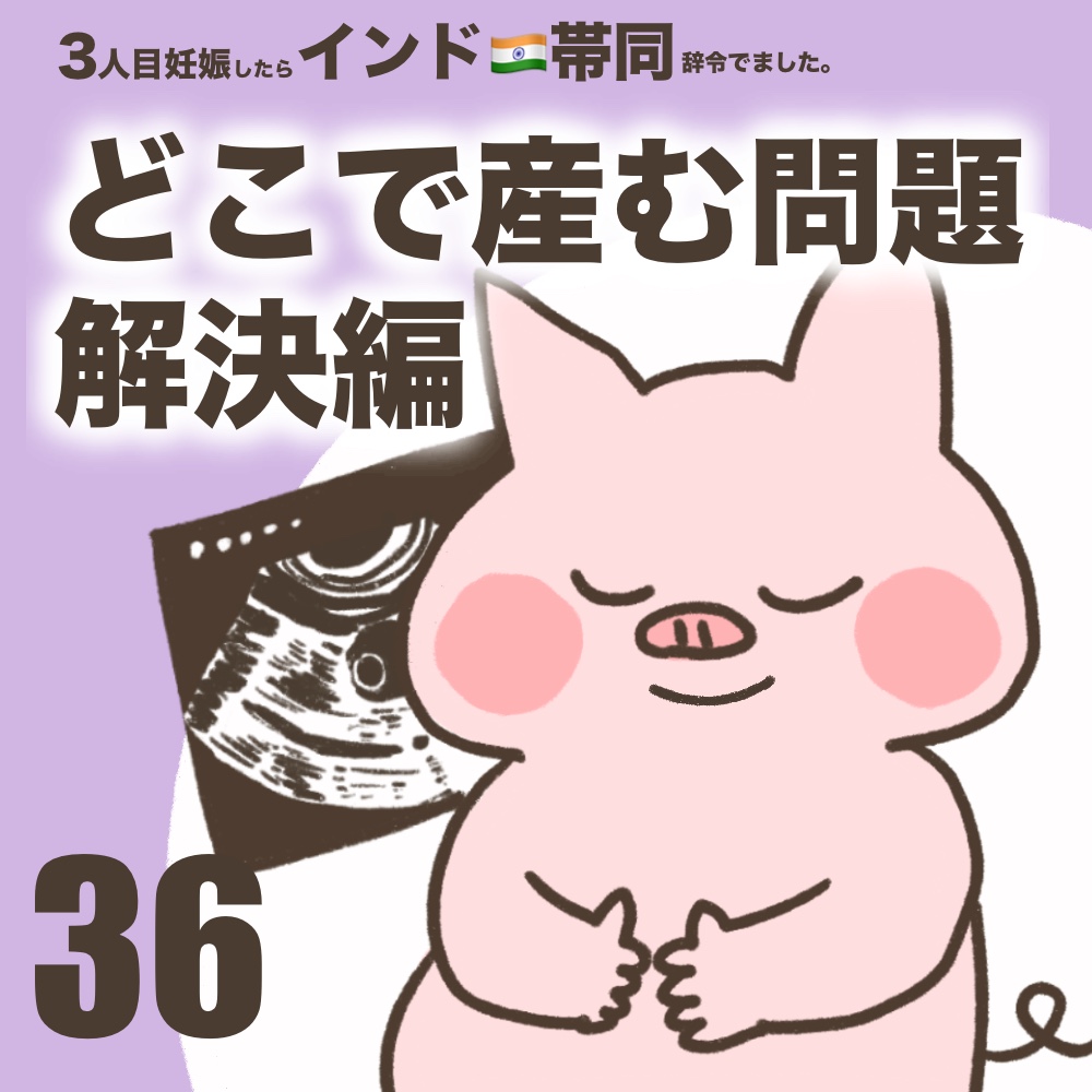 3人目妊娠インド帯同海外駐在どこで産む問題解決