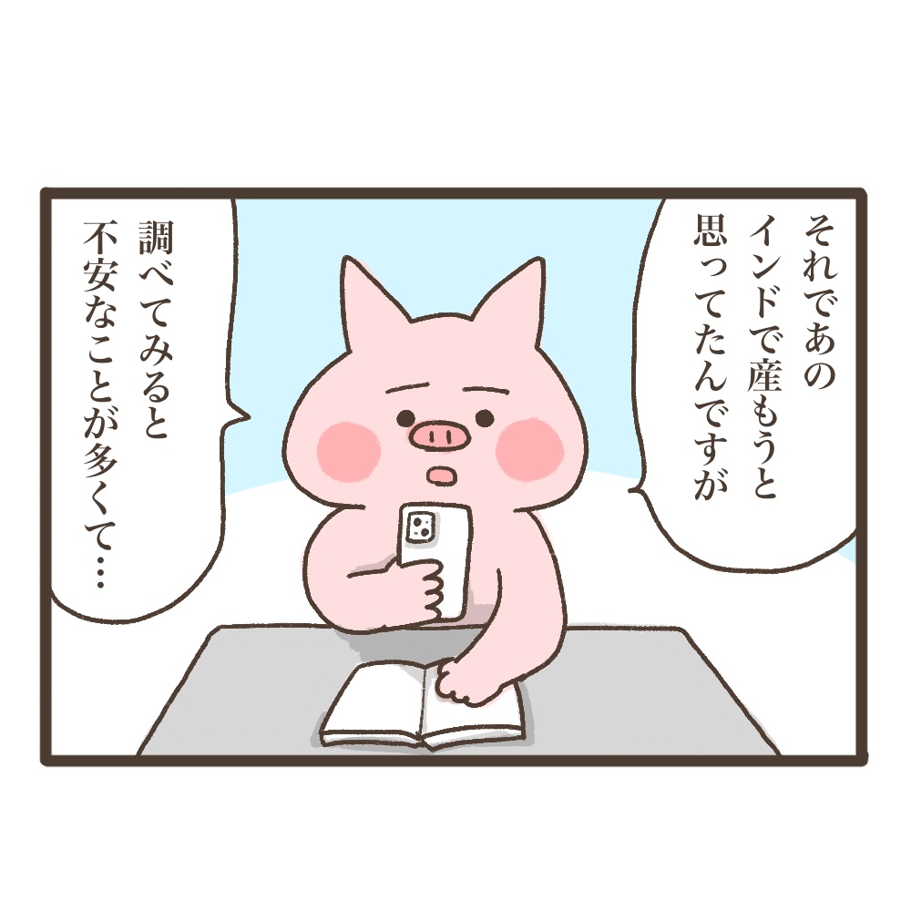 3人目妊娠インド帯同海外駐在どこで産む問題解決