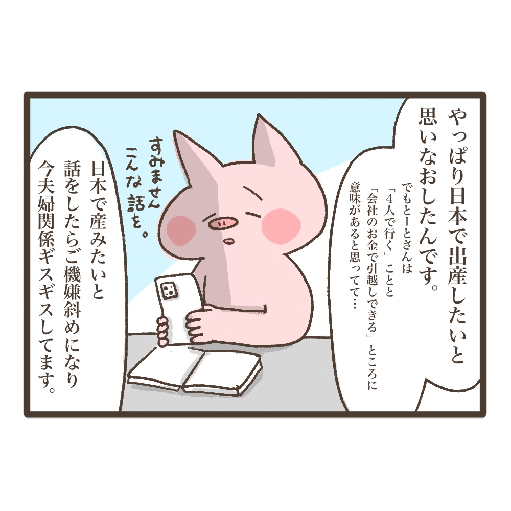 3人目妊娠インド帯同海外駐在どこで産む問題解決