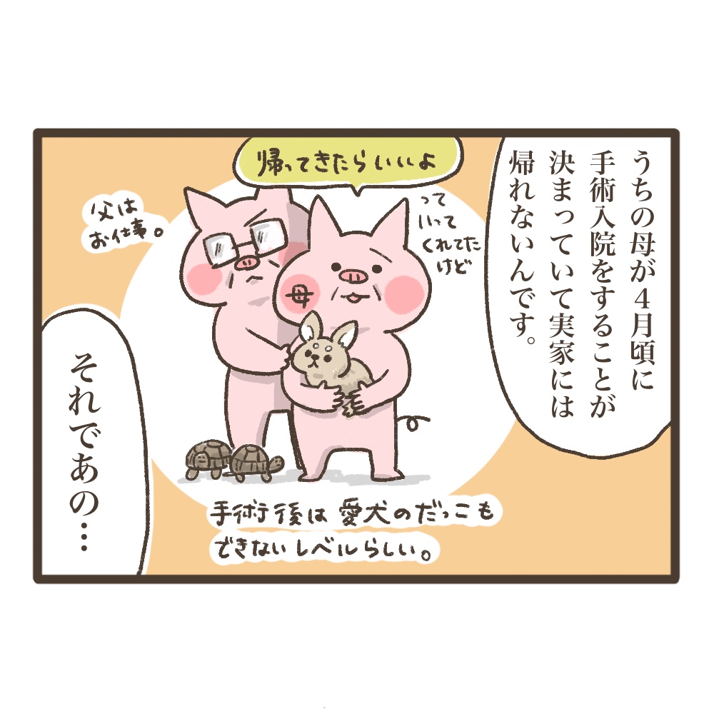 3人目妊娠インド帯同海外駐在どこで産む問題解決