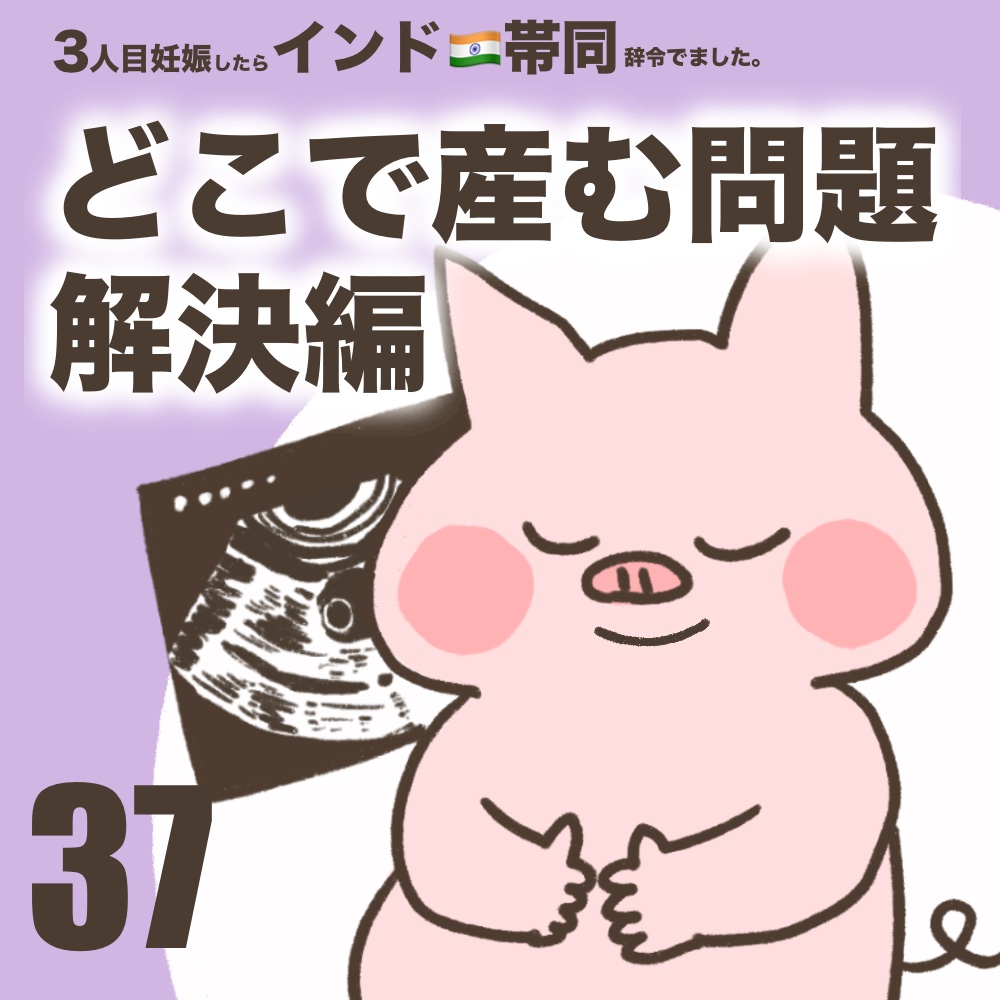 3人目妊娠インド帯同海外駐在どこで産む問題解決