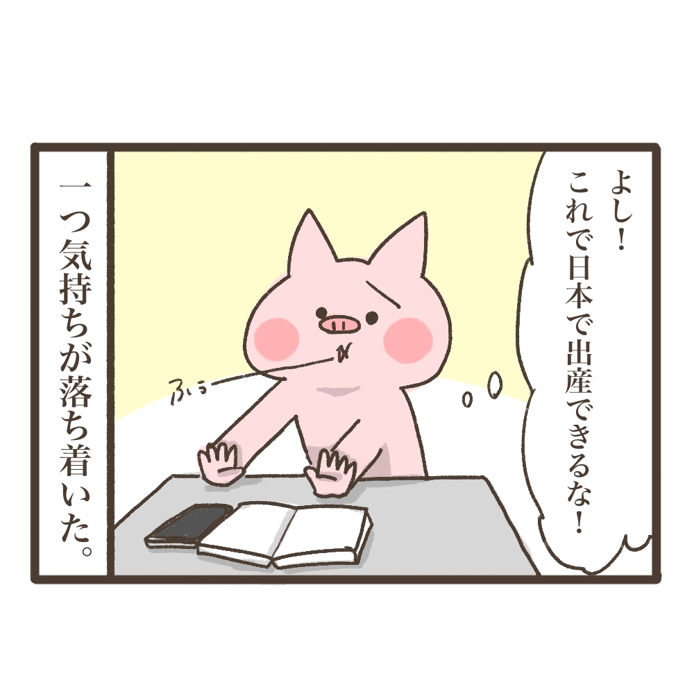 3人目妊娠インド帯同海外駐在どこで産む問題解決