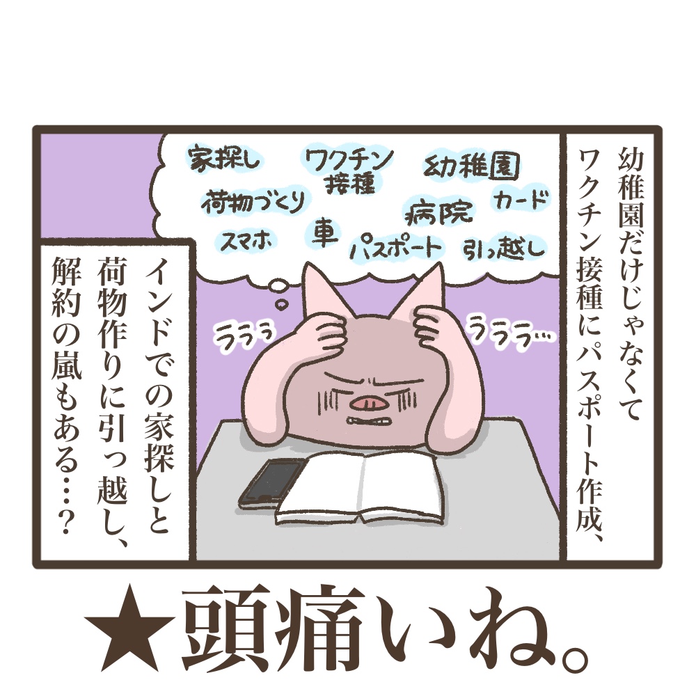 3人目妊娠インド帯同海外駐在どこで産む問題解決