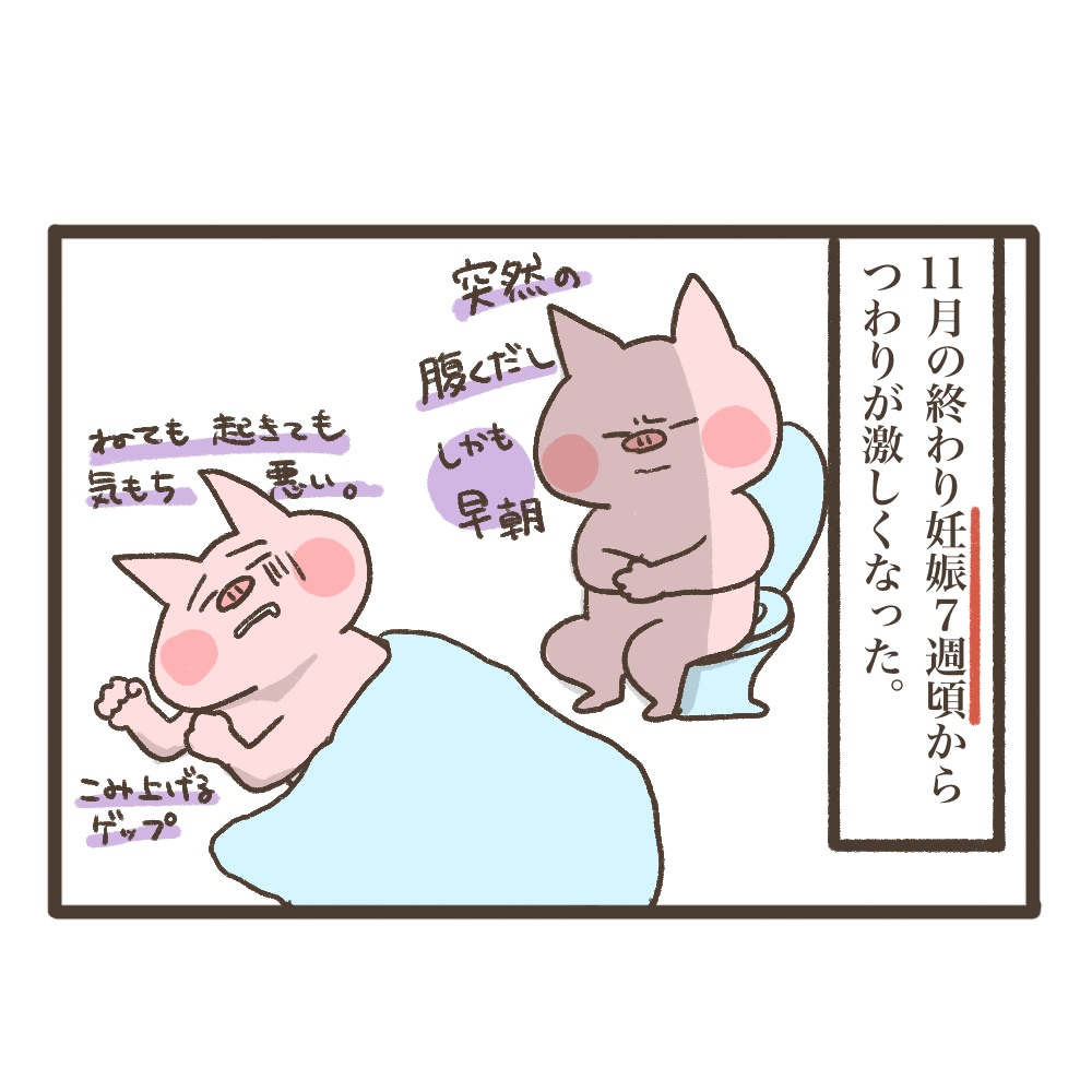 3人目妊娠インド帯同準備期間メンタル大波乱