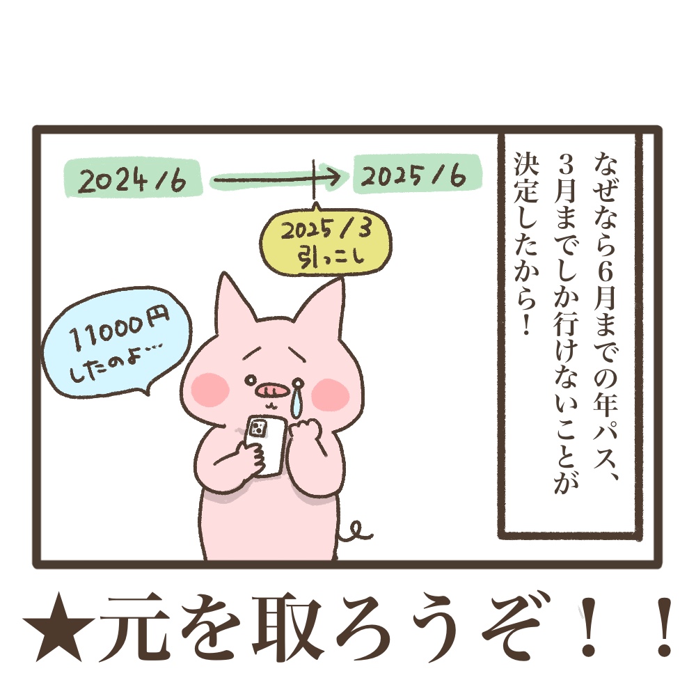 3人目妊娠インド帯同準備期間メンタル大波乱