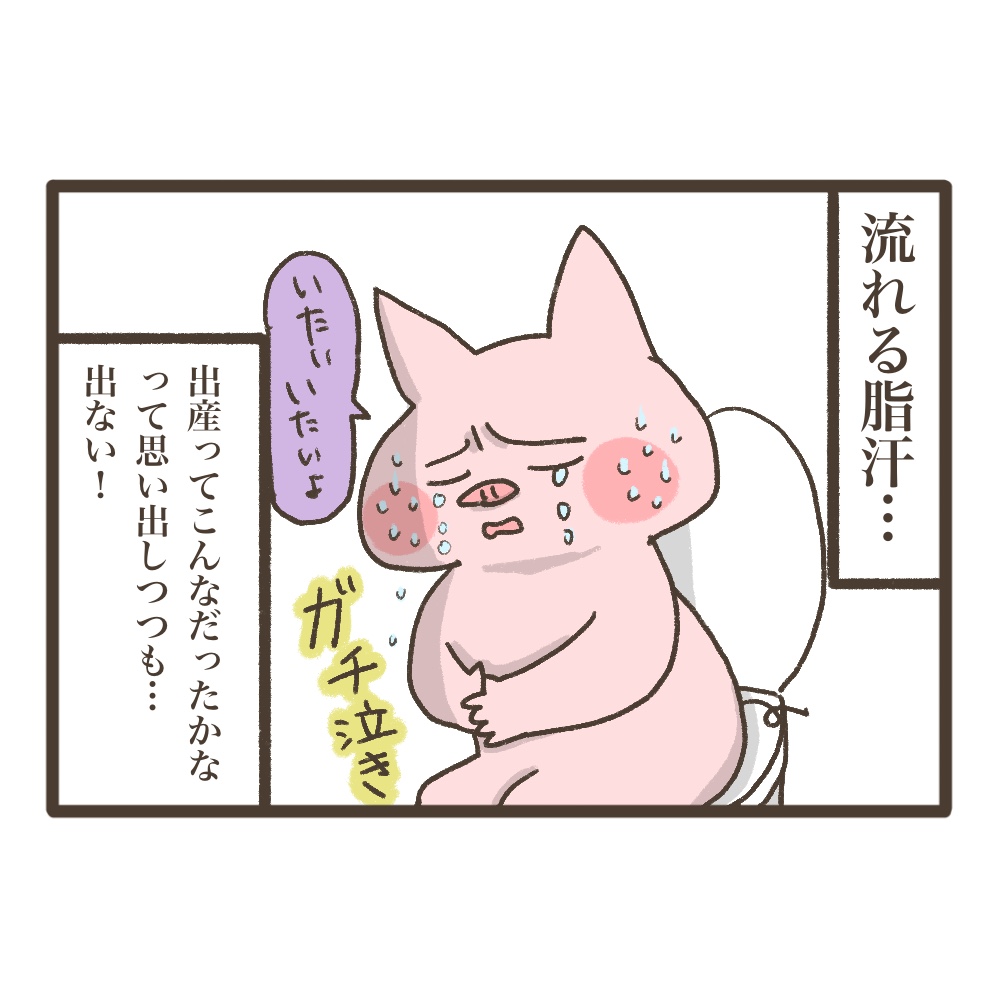 3人目妊娠インド帯同準備期間メンタル大波乱