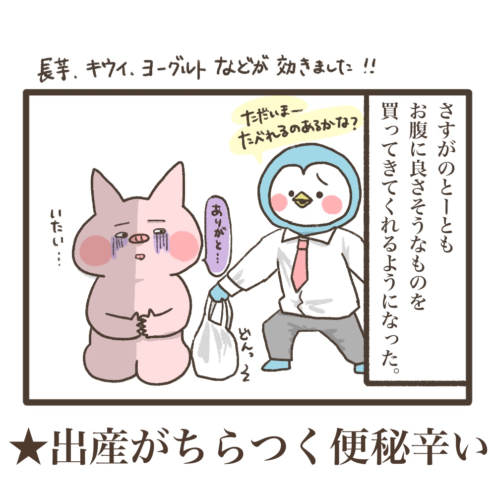 3人目妊娠インド帯同準備期間メンタル大波乱