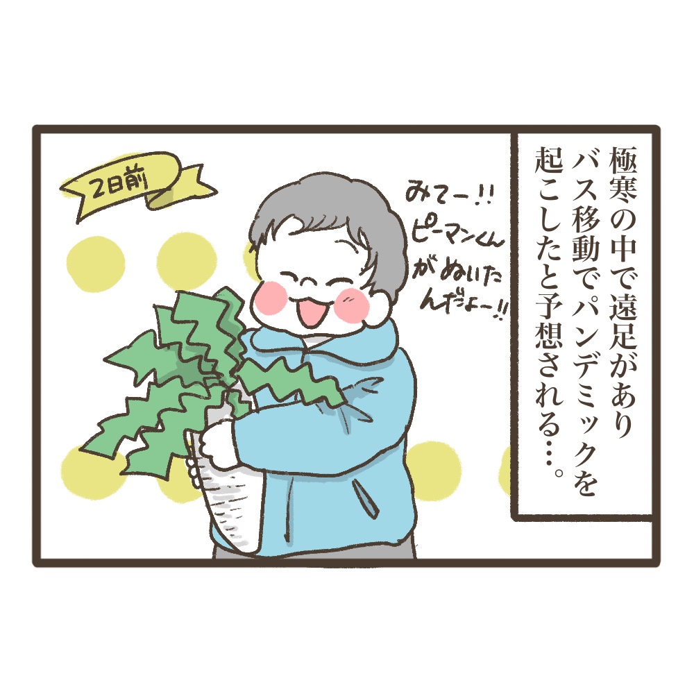 3人目妊娠インド帯同準備期間メンタル大波乱