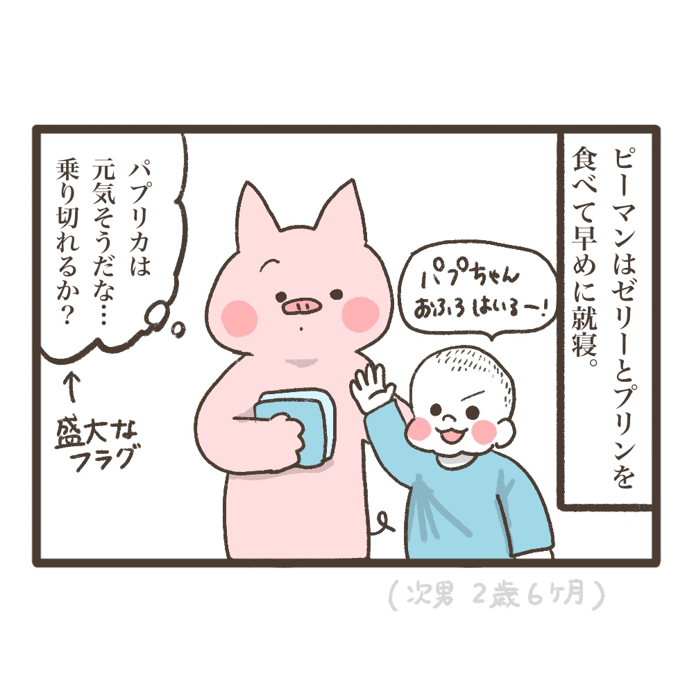 3人目妊娠インド帯同準備期間メンタル大波乱