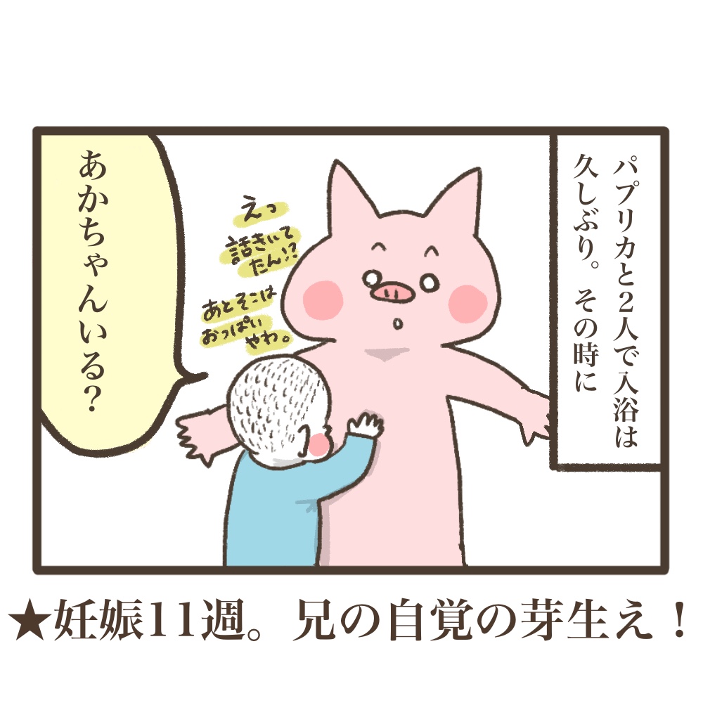 3人目妊娠インド帯同準備期間メンタル大波乱