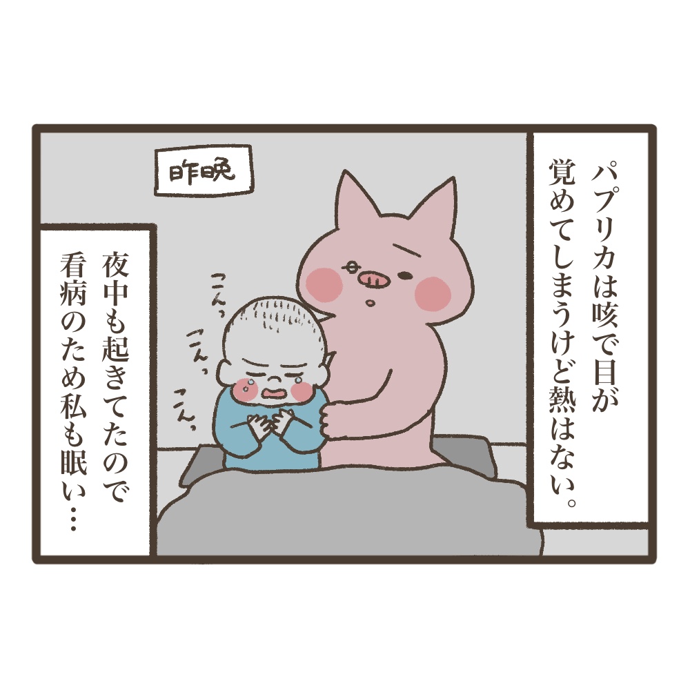 3人目妊娠インド帯同準備期間メンタル大波乱